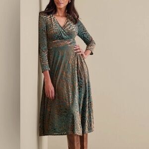 Soft Surroundings Shae Velvet Burnout Long Sleeve Animal Print Dress